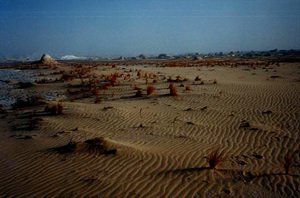 Сумерки в пустыне Сумерки в пустыне