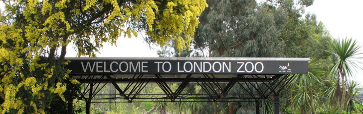 London Zoo