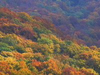 Парк Бюкк, Венгрия