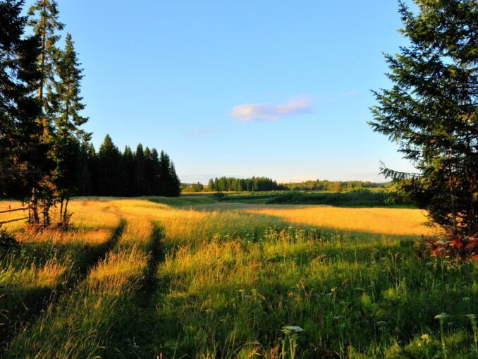 Россия - страна полей и лесов