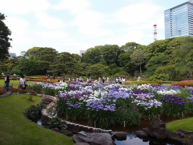 В Токио нужно обязательно сходить в императорские Восточные сады