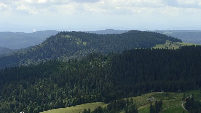 Шварцвальд, Германия Шварцвальд, Германия