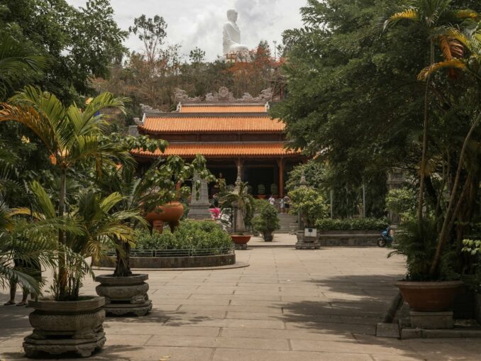 Нячанг во Вьетнаме - очень зеленый город, фото unsplash.com/@Sergey Sukhov Температура в Нячанге в январе поднимается до +26 градусов Цельсия