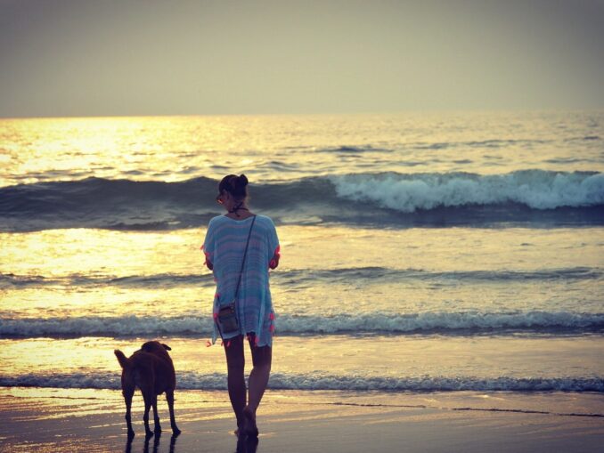 Девушка с собакой на пляже в Гоа, фото @Snehaz/Pixabay.com Согласно отзывам, не все пляжи Гоа хорошо подходят для отдыха девушек, фото @Snehaz/Pixabay.com