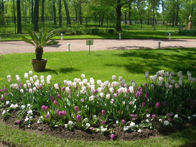 Парк Александрия, Петергоф Парк Александрия, Петергоф