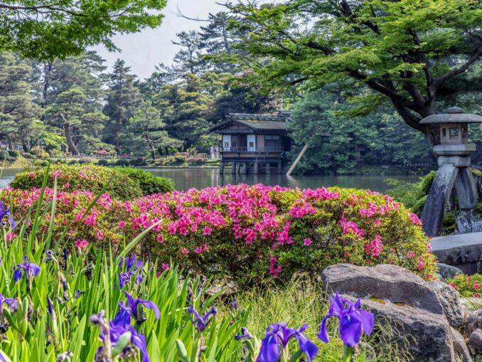 Сад Кэнроку-эн летом