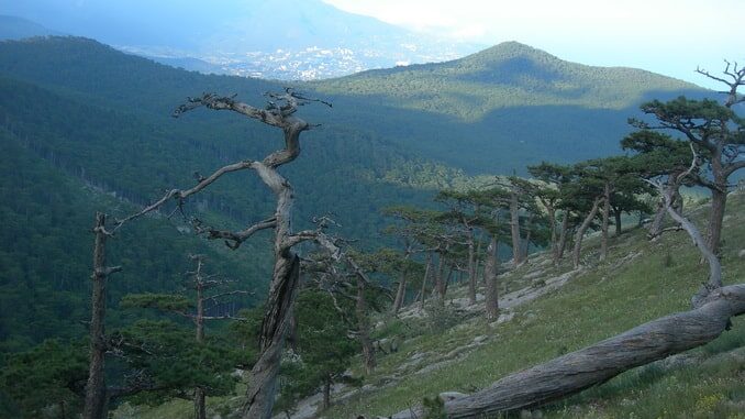 Кореизская тропа, Крым Кореизская тропа, на Ай-Петри в Крыму
