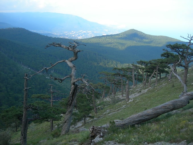 Кореизская тропа, Крым Кореизская тропа, на Ай-Петри в Крыму