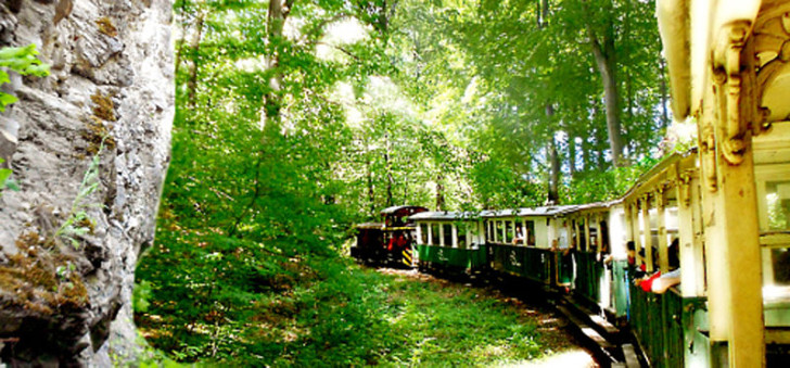 Узкоколейка в парке Бюкк