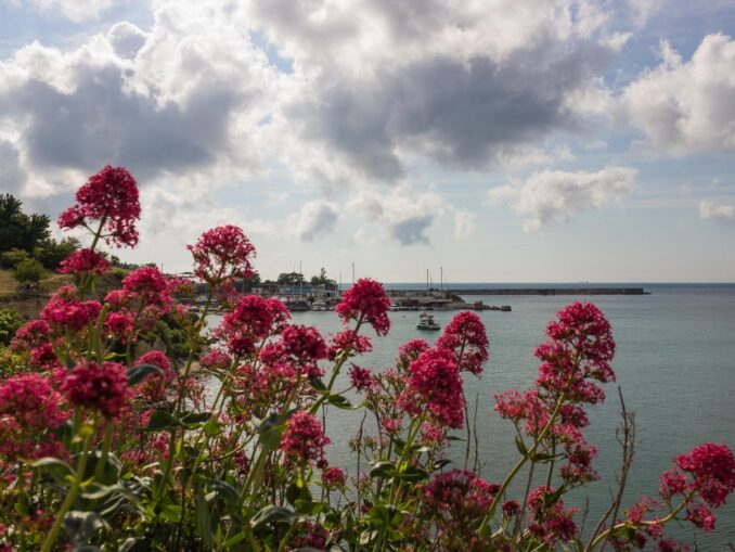 Севастополь - в Крыму в мае стоит теплая погода, и природа расцветает