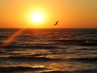 В Крым в ноябре стоит ехать на отдых!