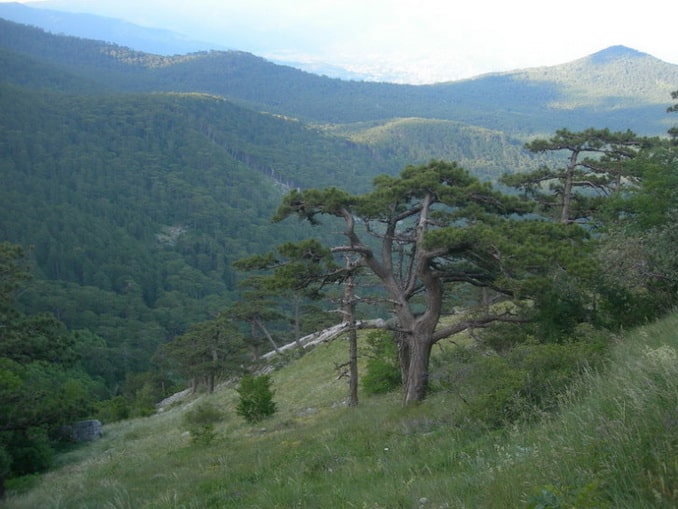 Вид с Кореизской тропы на горы, Крым