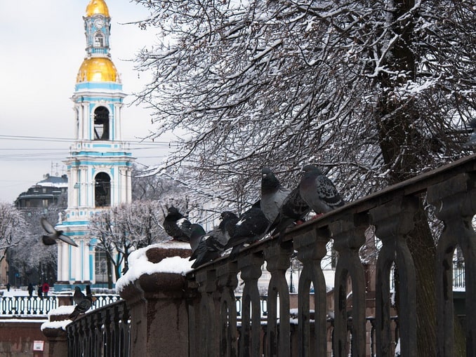 У Семимостья в Санкт-Петербурге в начале декабря