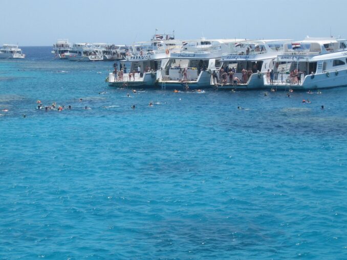 В Египте можно заняться снорклингом прямо в открытом море