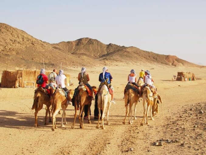 Из Хургады можно съездить в пустяню покататься на верблюде