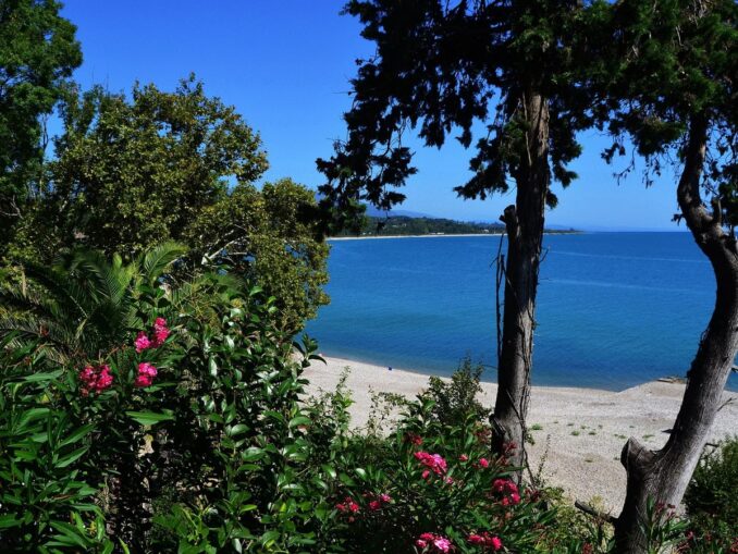 Пляж и море близ Пицунды