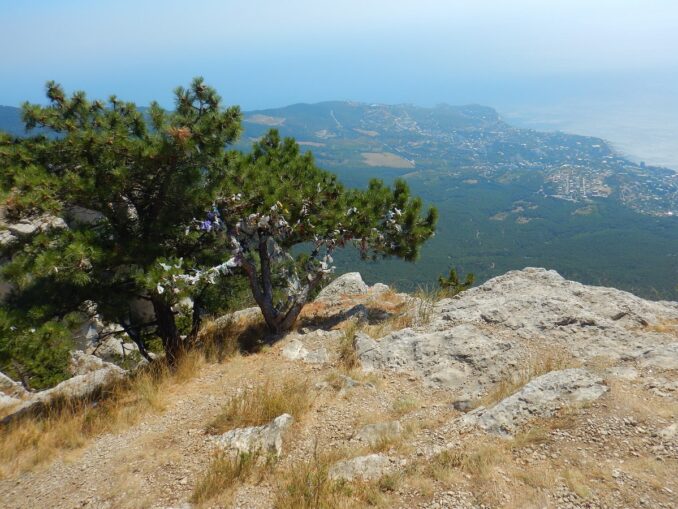 На Ялту стоит посмотреть с горы Ай-Петри