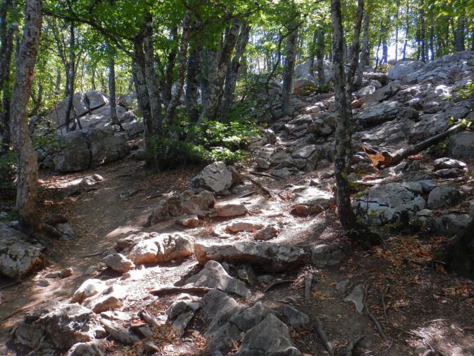 Кореизская тропа на Ай-Петри близ Ялты