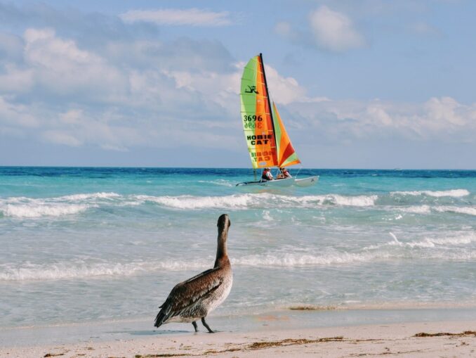 There are more entertainment in Varadero than in Kayo Coco