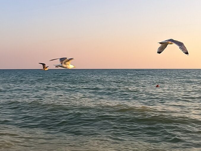 Черное море - в Алушту в сентябре стоит ехать на отдых!