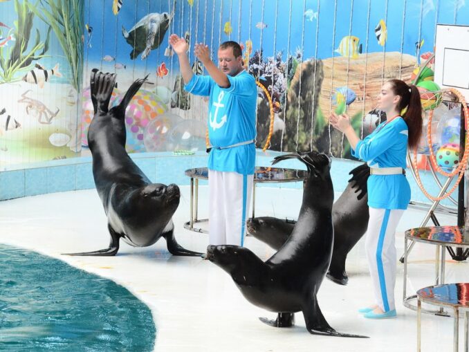 Евпаторийский дельфинарий