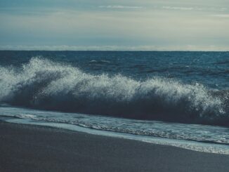 Черное море - в Сочи зимой стоит ехать на отдых
