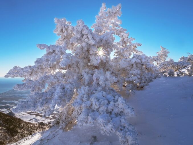 На новогодние праздники в Крыму иногда лежит снег