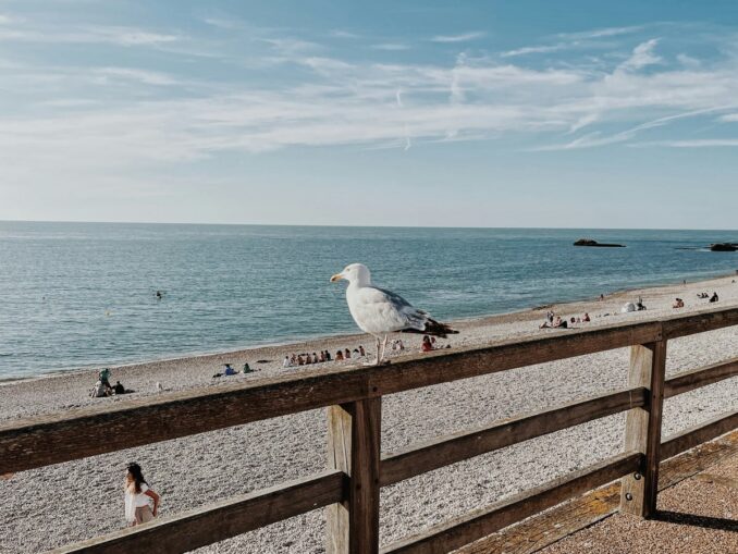 Пляж - в Нормандию можно съездить и чтобы искупаться