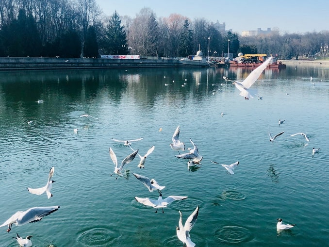 Температура воздуха в Минске в декабре колеблется в диапазоне -2-+2 °C.