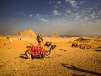 Пирамиды и верблюд - Египет находится в Северной Африке, где часто - очень жарко