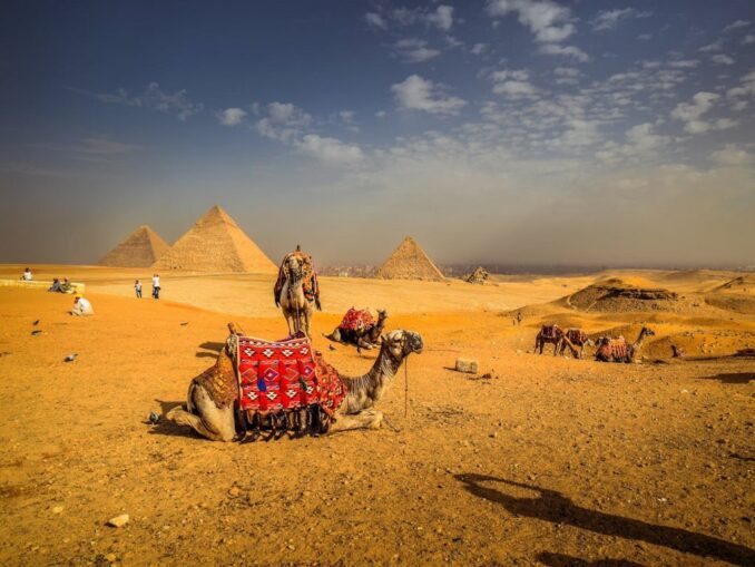 Пирамиды и верблюд - Египет находится в Северной Африке, где часто - очень жарко
