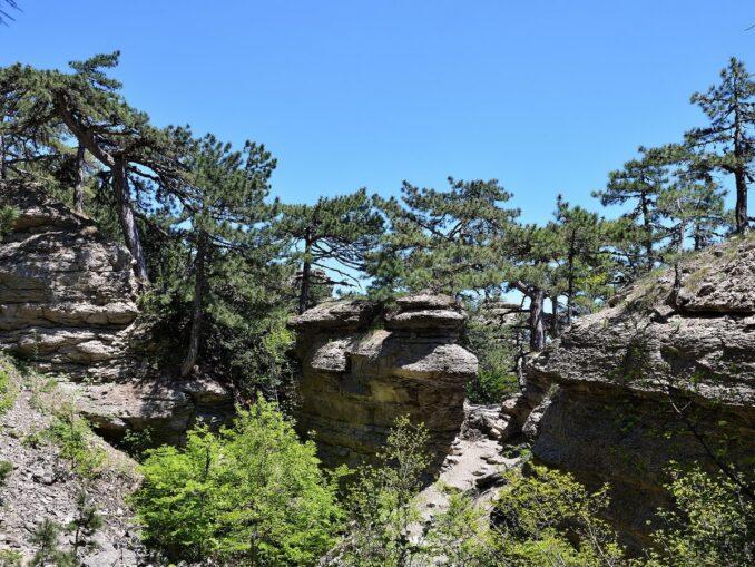 По Таракташской тропе тоже можно подняться на Ай-Петри в Крыму