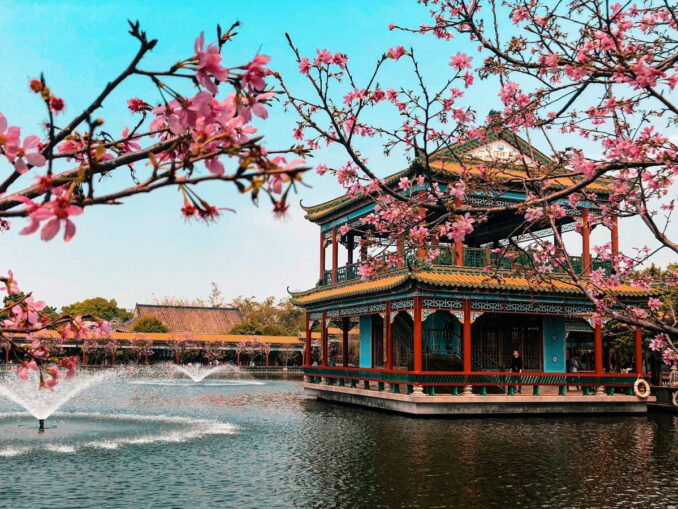 Сад Юн Тай в Гуанчжоу - в Китай нужно брать не только фотокамеры, но и адаптеры для розеток