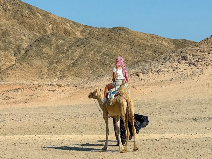 Близ Хургады в Египте можно посмотреть пустыню и покататься на верблюде