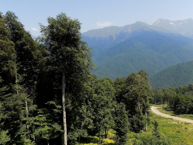 Сочинский национальный парк