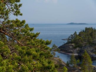 В мае в Карелиию стоит ехать на экскурсии и отдохнуть на природе