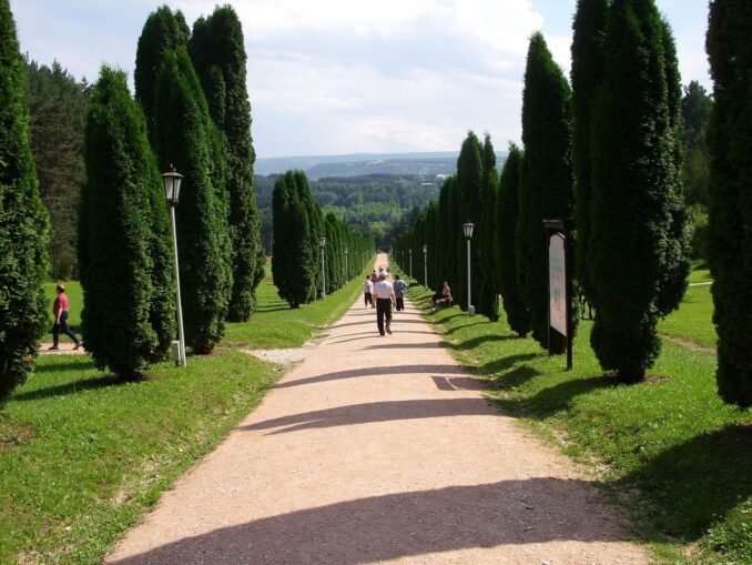 June - Good time for relaxation in Kislovodsk