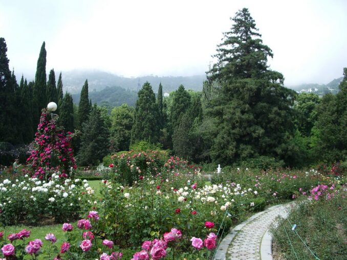 В Никитский ботанический сад стоит поехать из Ялты