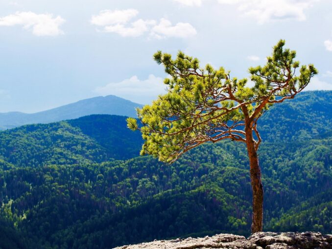 Round Mountain in Belokurikh - in May in Altai you can see many beautiful places