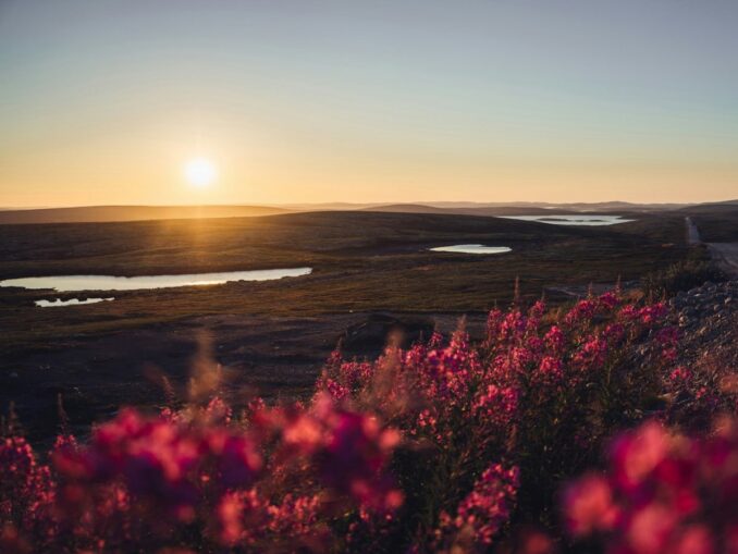 In the summer in the Murmansk region you can see the tundra and hills