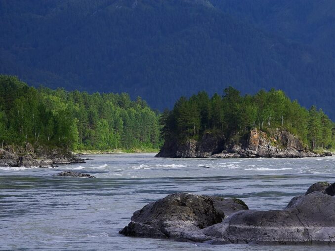 Katun River - In the Altai in June you can swim far from everywhere