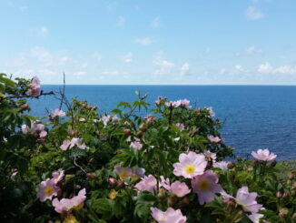 В июне в Анапу уже стоит ехать на пляжный отдых