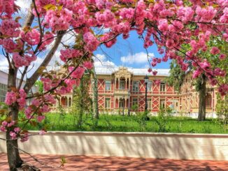 В мае в Ессентуки стоит ехать отдыхать и лечиться!