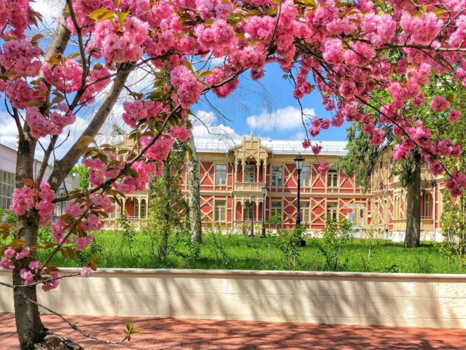 В мае в Ессентуки стоит ехать отдыхать и лечиться!