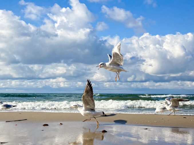 В Калининград в июне стоит ехать на море!