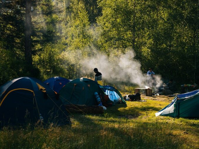 Altai in July is well suited for ecotourism