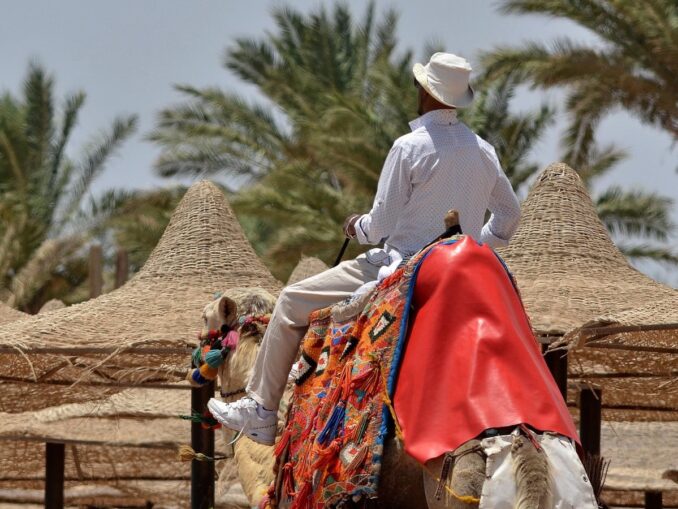 In early May, the air temperature in Egypt reaches +35-37 ° C