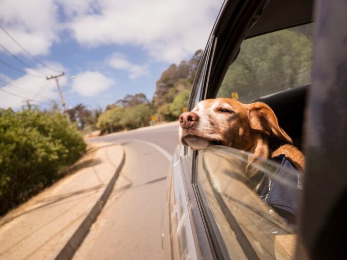 Путешествие на машине - что взять в дорогу?