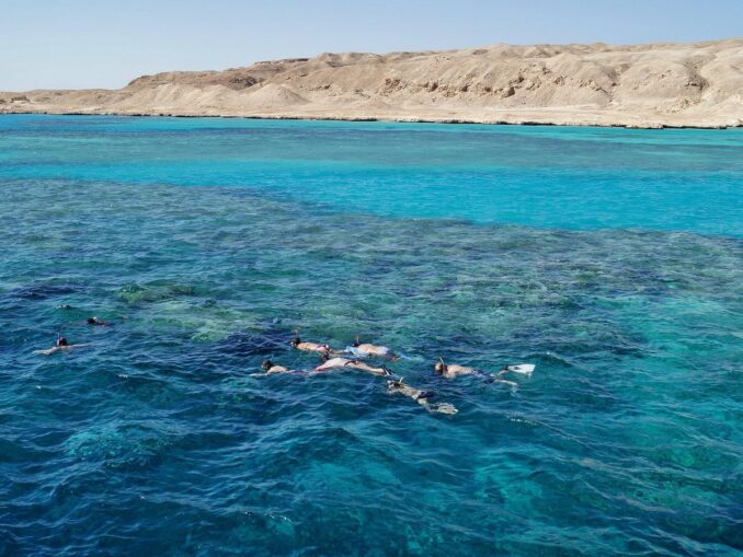 Diving in the Red Sea 