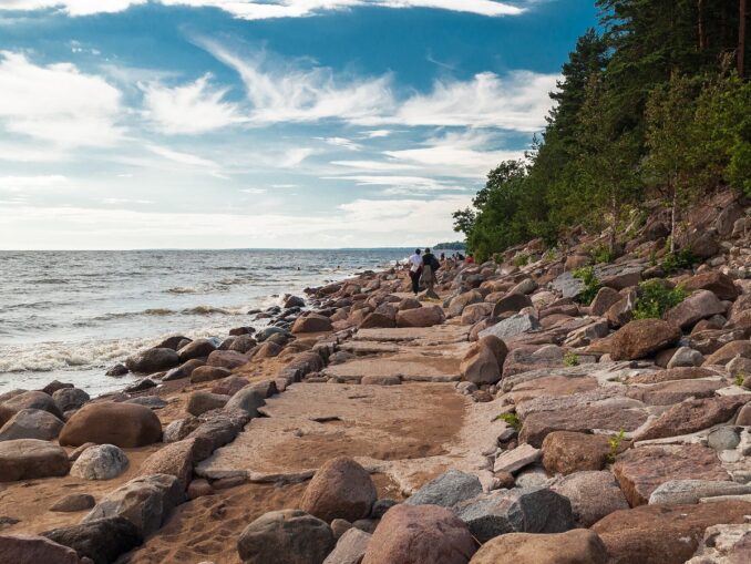 In St. Petersburg in July, you can go to rest on the Gulf of Finland